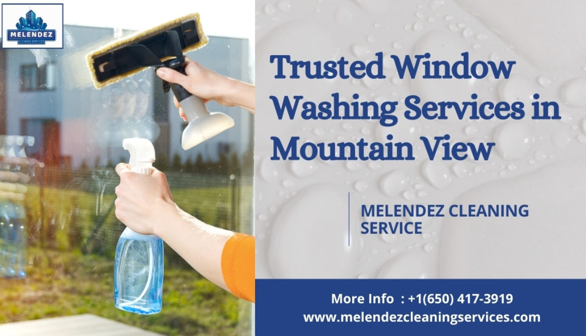 Window Washing Services