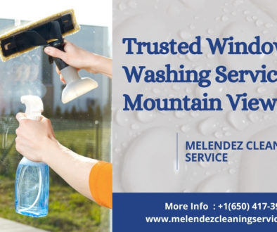 Window Washing Services