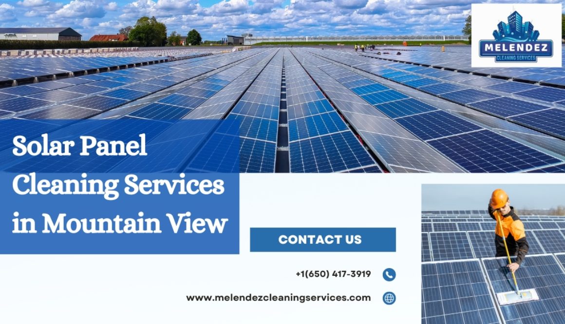 Solar Panel Cleaning Services in Mountain View